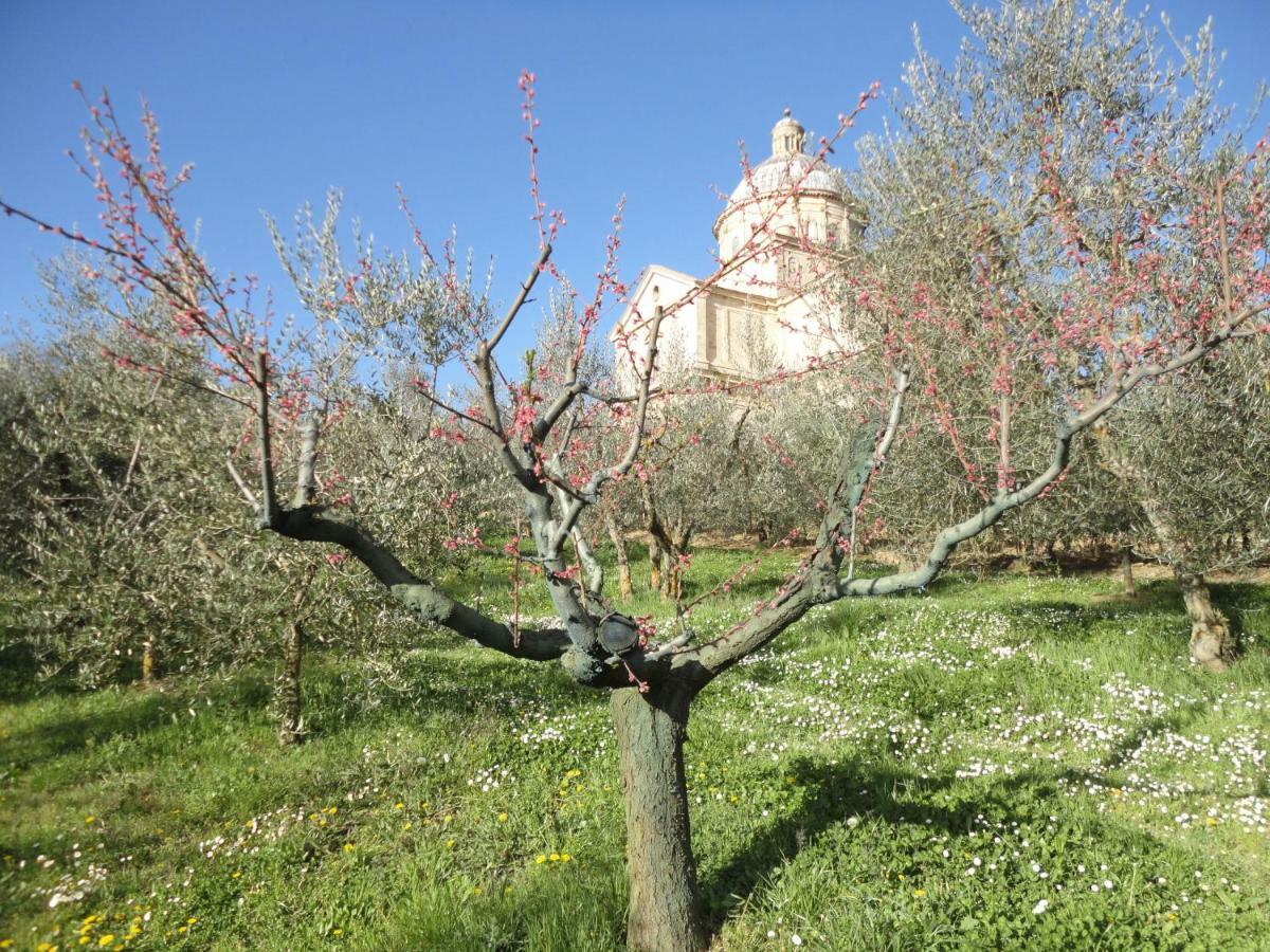 Вилла Agriturismo San Biagio Монтепульчано Экстерьер фото
